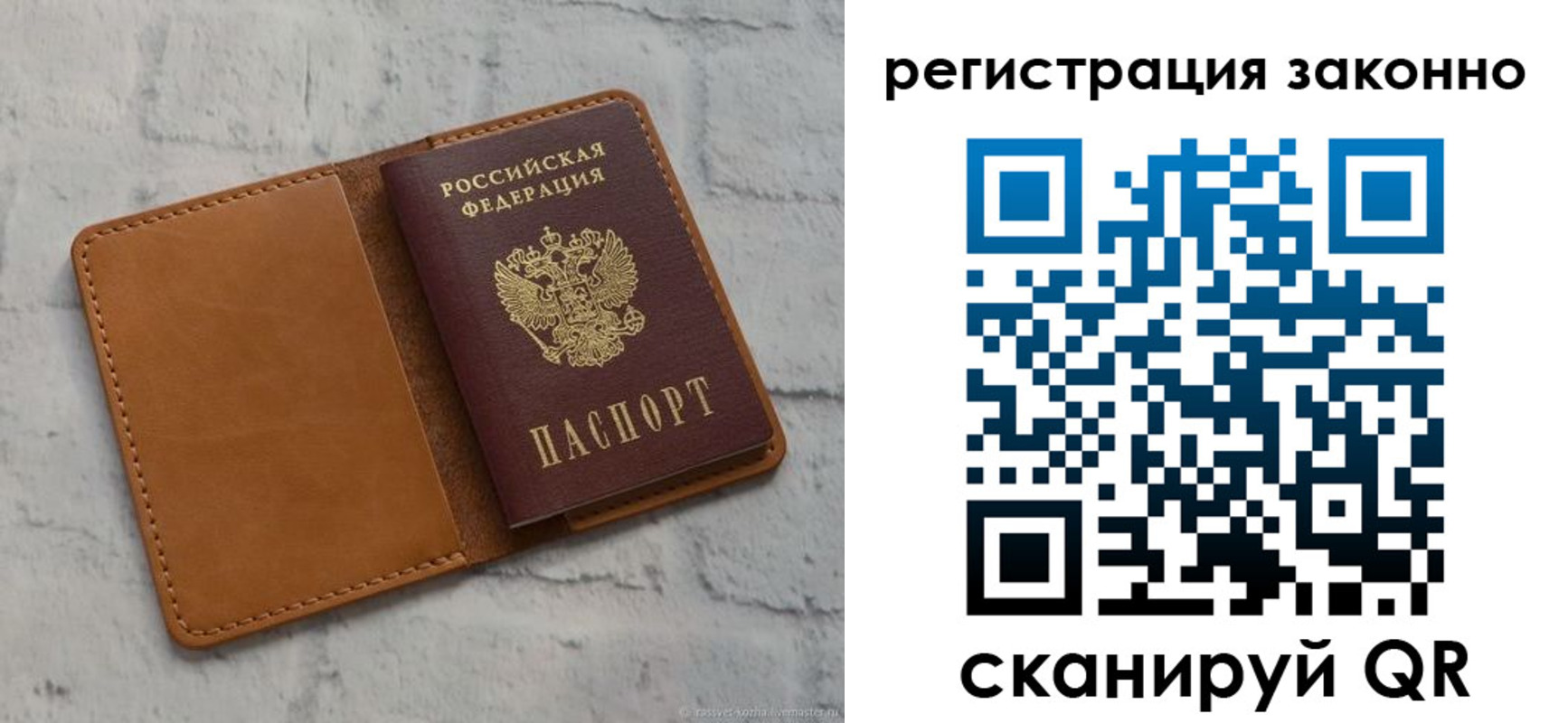 где прописаться в Ленинградской области
